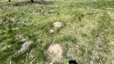 北杜市に建つ、おしゃれな洋風のお家